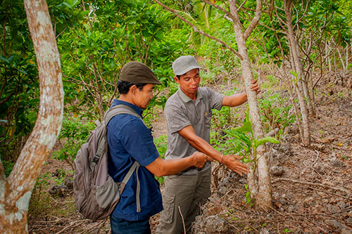 plant surveys